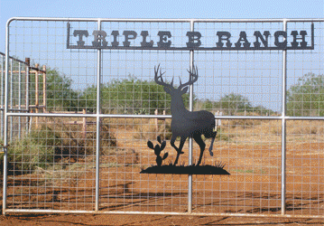 Triple B's Landscape